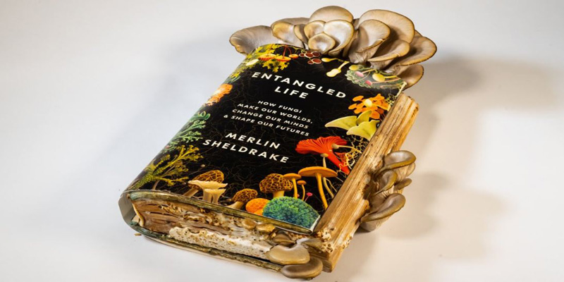 Entangled Life Book By Merlin Sheldrake