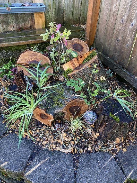 stumpery garden