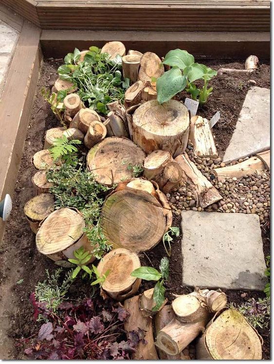 stumpery with multiple logs